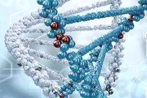多肽定制服务， 多肽修饰，西安杏彩体育平台
生物