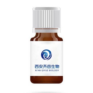 CY5.5标记抗氧化酶
