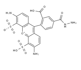 AF 488 Hydrazide